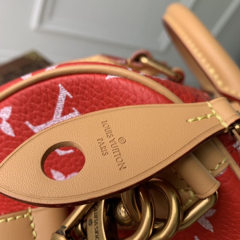 LV Speedy Bags